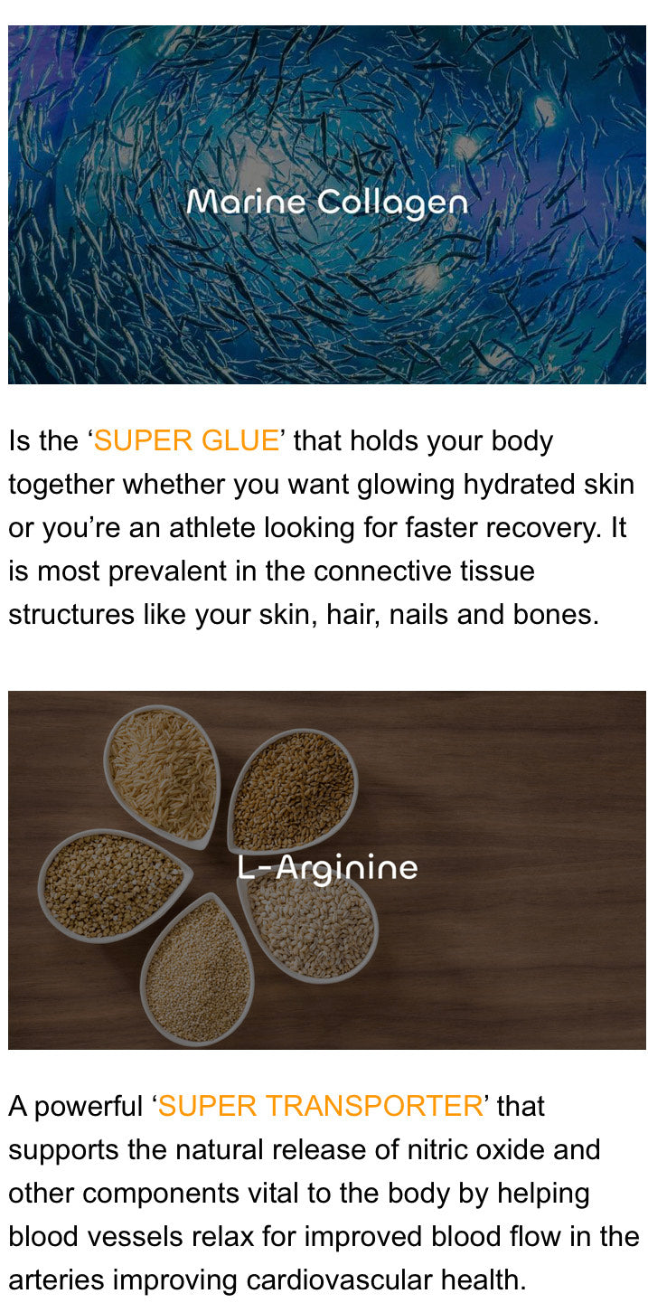 TeloPet Stem Cell Nutrition Powder Single Pack
