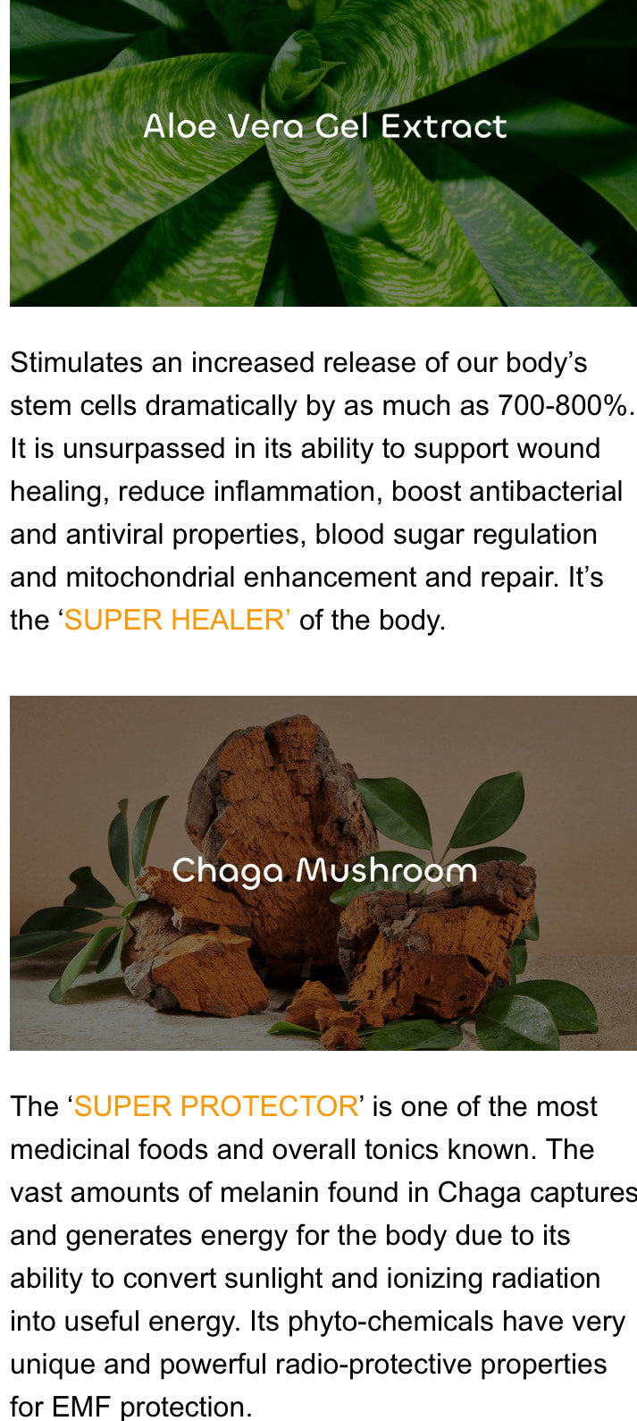 TeloPet Stem Cell Nutrition Powder Single Pack